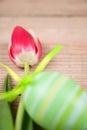 Colorful flowering beautiful bouquet of tulips and eastern egg