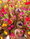 Colorful flowering cacti in pots