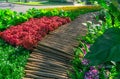 Colorful flowering plant and green shrub decorated under group of trees in a good care maintenance garden, curve wooden walkway Royalty Free Stock Photo