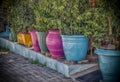 Colorful Flowerpots in a Row