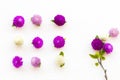 Colorful flowers amaranth white ,purple ,pink color local flora of asia Royalty Free Stock Photo