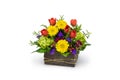 Spring Floral Arrangement in a Wood Garden Box with Tulips and Daisies - Floristry Royalty Free Stock Photo