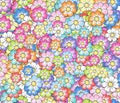 The colorful flowers background.Flowers wallpaper. Royalty Free Stock Photo