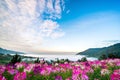 Colorful flowers and beautiful scenery and comfortable. Royalty Free Stock Photo