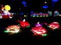 Colorful flowers with birds at Chinese lantern festival