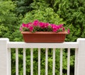 Colorful flowers in bloom on white patio railing