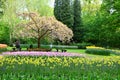 Colorful flowers and blossom in dutch spring garden Keukenhof which is the world's largest flower garden. Royalty Free Stock Photo