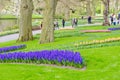 Colorful flowers and blossom in dutch spring garden Keukenhof which is the world`s largest flower garden. Royalty Free Stock Photo