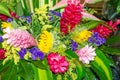 Colorful flowers in a buke Royalty Free Stock Photo