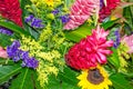 Colorful flowers in a buke Royalty Free Stock Photo