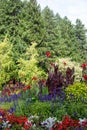 Colorful flowers, Butchart Gardens, Victoria, Canada Royalty Free Stock Photo