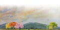 Colorful of flowers, cherry blossom, field farm and scenery in mountain with bird on sky Royalty Free Stock Photo