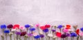 Colorful flowers of cornflowers, rustic bouquet picked in summer located on concrete background Royalty Free Stock Photo