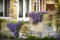 Colorful flowers on the fence