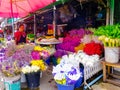 Colorful flowers at flower market, culture, September