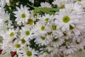 Colorful flowers, flower market