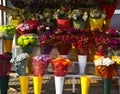 Colorful flowers in flower shop tÃÂ¼rkiye