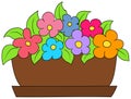 Colorful flowers in a flowerpot