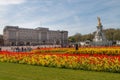 Colorful flowers in front of Buckingham Palace