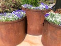 Colorful flowers and green plants growing in pots Royalty Free Stock Photo