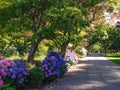 Botanic Garden, Christchurch, South Island, New Zealand Royalty Free Stock Photo