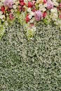 Colorful flowers with green wall for wedding backdrop Royalty Free Stock Photo