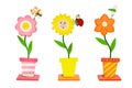 Colorful Flowers Inventions