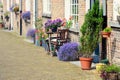 Colorful flowers and a old facade Royalty Free Stock Photo