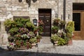 Colorful flowers outside a home in the Italian hill town of Assisi Royalty Free Stock Photo