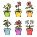Colorful flowers pots cartoon vector illustration isolated white background. Six different plants Royalty Free Stock Photo