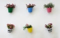 Colorful flowers pots Royalty Free Stock Photo