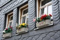 Colorful flowers in pots outside windows in wall with slate tiles Royalty Free Stock Photo