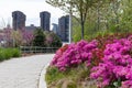 Colorful Flowers during Spring at Hunters Point South Park in Long Island City Queens New York