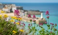 Colorful flowers and St Ives bay