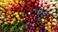 Colorful Flowers Tightly Bundled Together