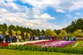 Colorful flowers tulips daffodils in Keukenhof park Lisse Holland Netherlands Royalty Free Stock Photo