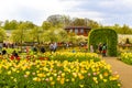 Colorful flowers tulips daffodils in Keukenhof park Lisse Holland Netherlands Royalty Free Stock Photo