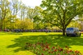 Colorful flowers tulips daffodils in Keukenhof park Lisse Holland Netherlands Royalty Free Stock Photo