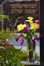 Colorful flowers in a vase on a grave Royalty Free Stock Photo