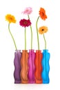 Colorful flowers and vases Royalty Free Stock Photo