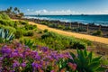 Colorful flowers and view of the fishing pier at Linda Lane Park Royalty Free Stock Photo