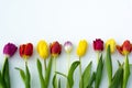 Colorful flowers on white background. bouquet of red, yellow, purple tulips on a white background. Space for text, top view Royalty Free Stock Photo