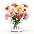 High Resolution Quadratura Glass Vase With Marguerite Blasingame Flowers Royalty Free Stock Photo
