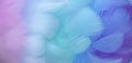 Colorful fluffy feathers in pastel shades. A message to the angel. Banner of a bunch of delicate soft feathers
