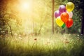 Colorful Flying Balloons On Green Meadow With Many Flowers In Front Of Sunshine And Blurred Forest Background - Generative AI