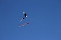 Colorful flying kite fly in the blue sky Royalty Free Stock Photo