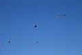 Colorful flying kite fly in the blue sky Royalty Free Stock Photo