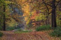 Colorful foliage in the autumn park, autumn landscape. Fall trees and leaves, trail in the park. Royalty Free Stock Photo