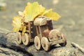 Colorful foliage background and a toy train. Fall October or November. Royalty Free Stock Photo