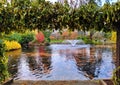 Colorful foliage of greenery in park with a pond with ducks swimming and a water fountain in autumn Royalty Free Stock Photo